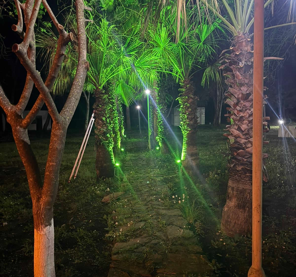 Artemis Hotel Çıralı